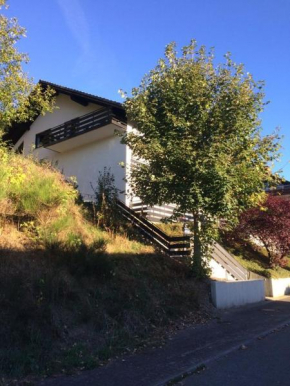 Fewo Elsa Niedersfeld, Winterberg
